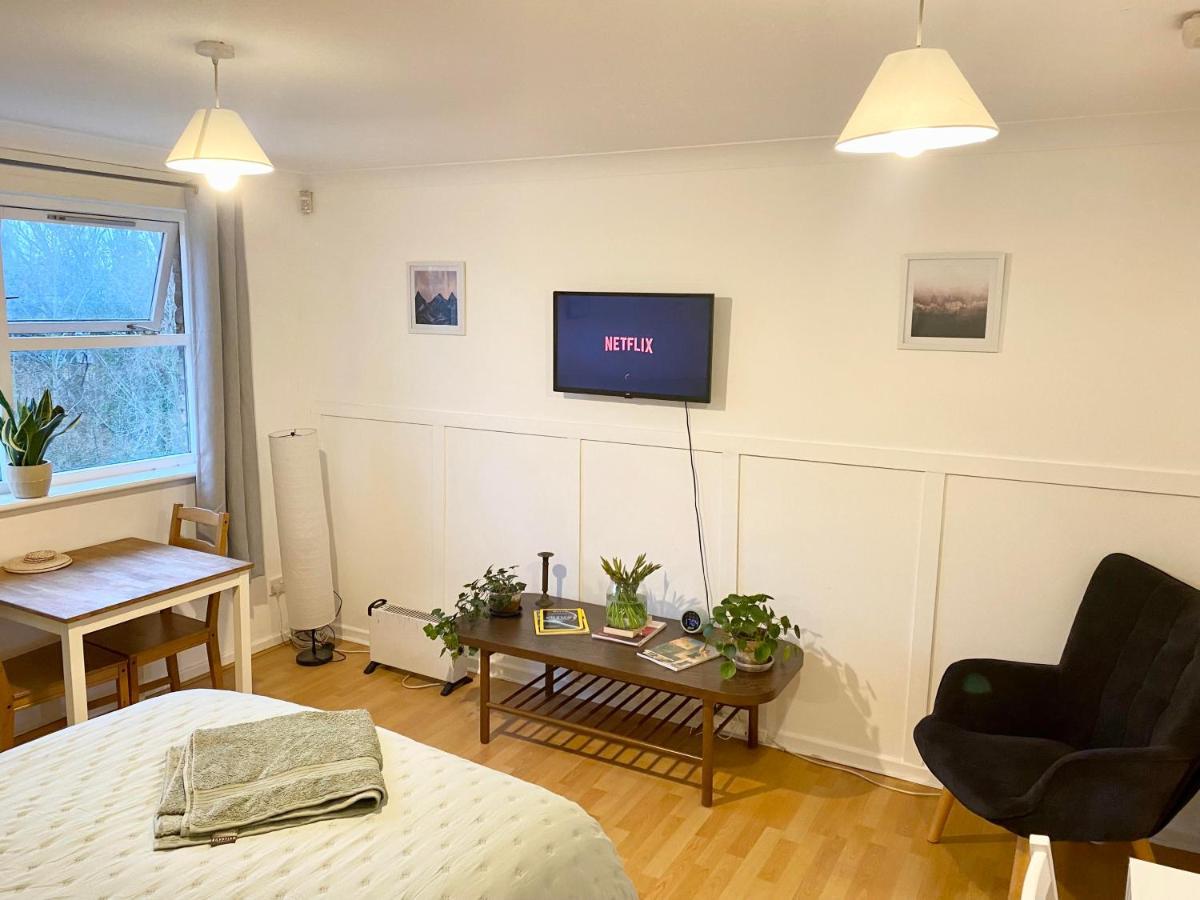 Bright And Comfortable Studio Apartment Лондон Экстерьер фото